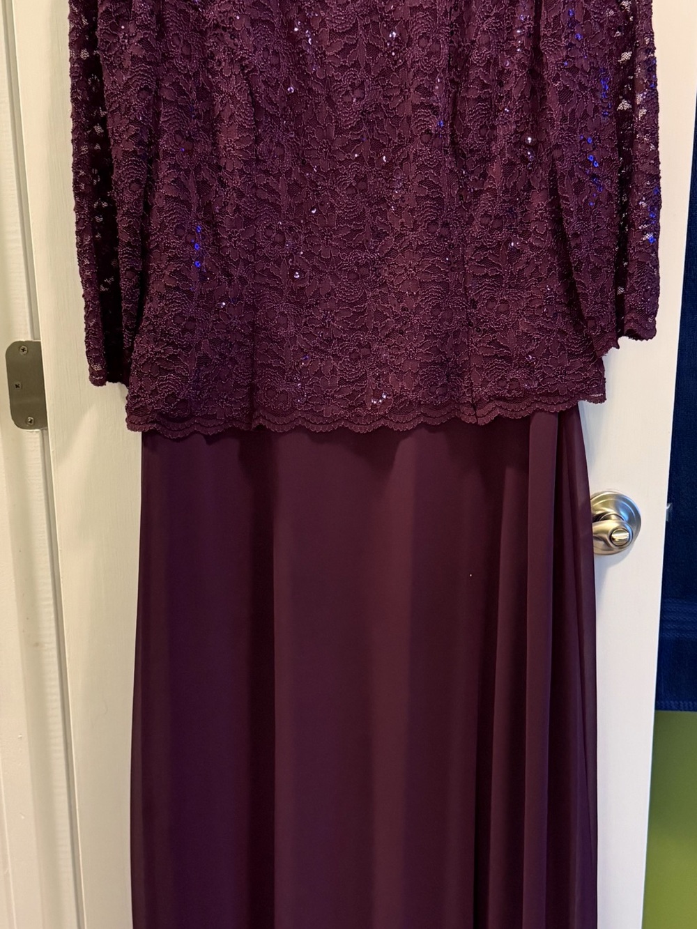 Alex Evenings Deep Plum Lace & Sequin Maxi Gown